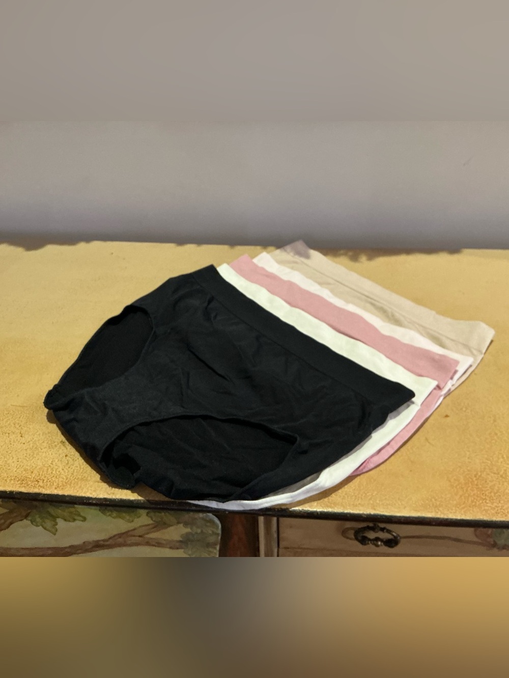NWOT Carole Hochman Panties Size L